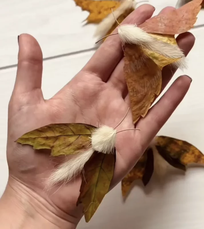 Лістапад у банку, стракозы з "носікаў" і мухаморы з жалудоў: 12 восеньскіх вырабаў для школы і дзіцячага сада - ад простых да складаных