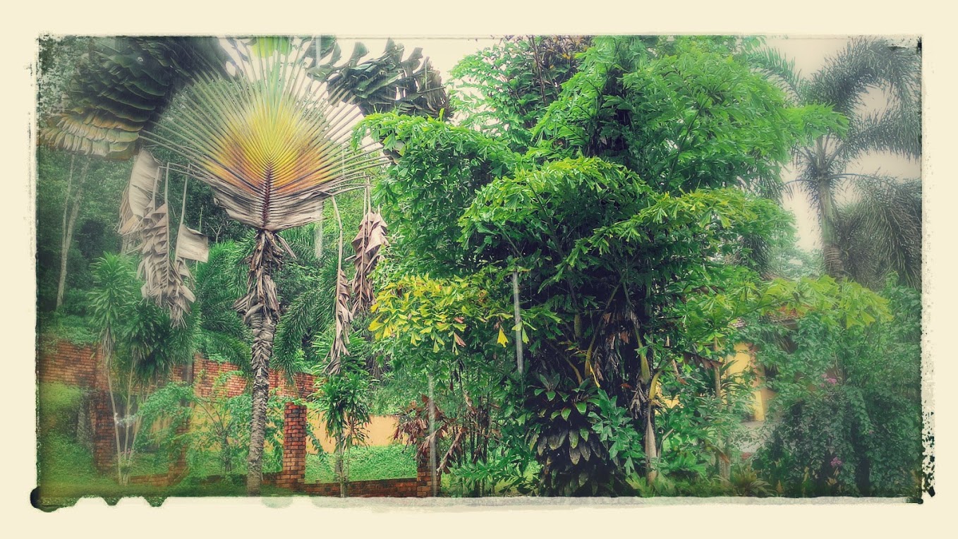 Псіхолаг у падарожжы. Жыццё на востраве, дзе свята кожны дзень