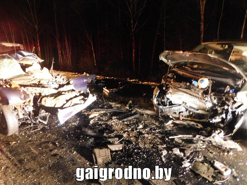 На трассе Минск-Гродно водитель погиб после столкновения с лосем