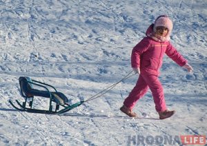 «Какая зима, такие и санки». Весёлый фотофакт из Гродно