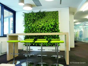 Необычный бизнес: в старом коровнике под Свислочью выращивают тонны радужной форели