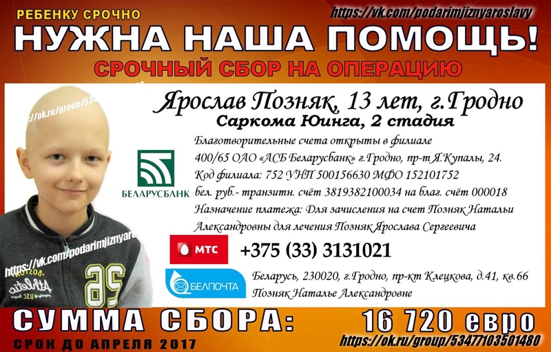 В Пышках "раковые клетки" преодолевали бег с препятствиями В Пышках "раковые клетки" преодолевали бег с препятствиями