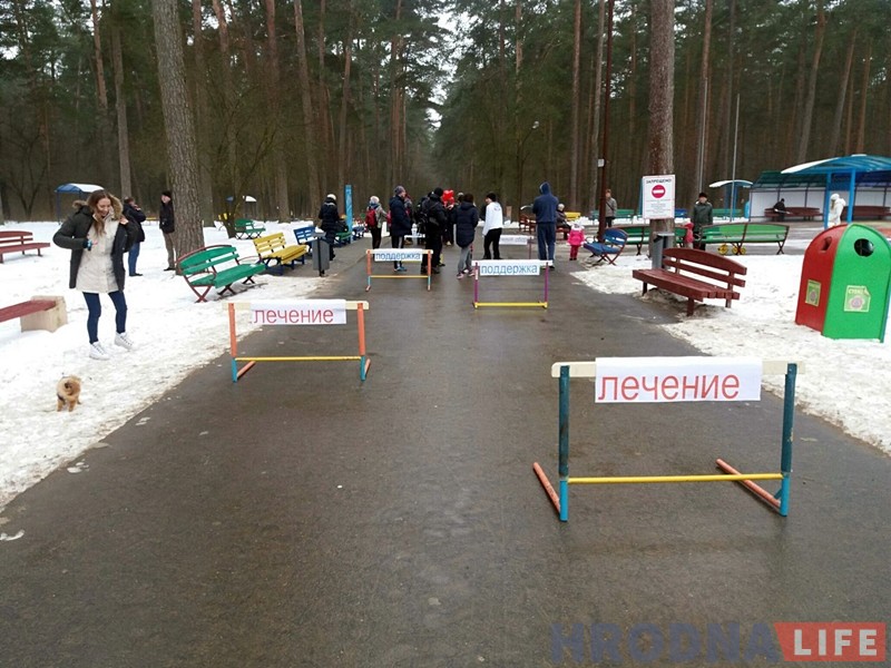 В Пышках "раковые клетки" преодолевали бег с препятствиями В Пышках "раковые клетки" преодолевали бег с препятствиями