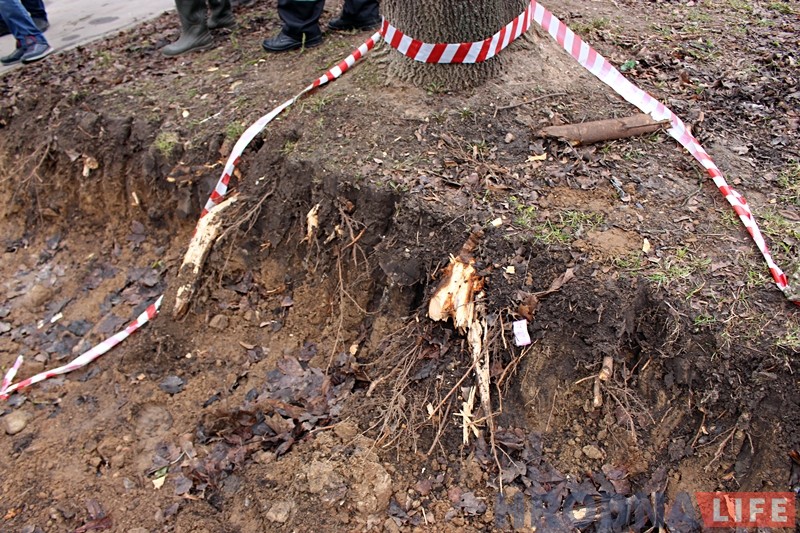 "Мусорные войны": жители Гая не дают коммунальщикам сделать площадку для контейнеров "Мусорные войны": жители Гая не дают коммунальщикам сделать площадку для контейнеров