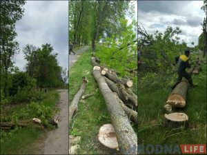 На Репина спасают пруд, который помнит Понятовского На Репина спасают пруд, который помнит Понятовского