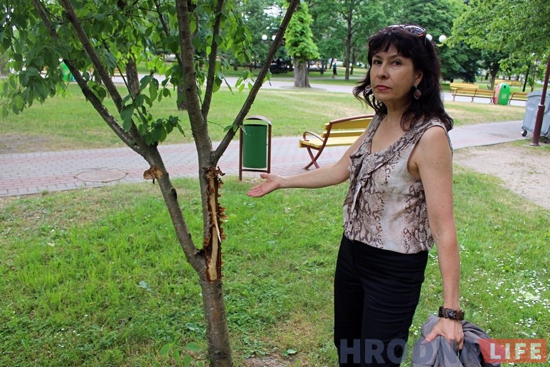 В ботанический сад в Гродно провели воду и начали перепись растений В ботанический сад в Гродно провели воду и начали перепись растений