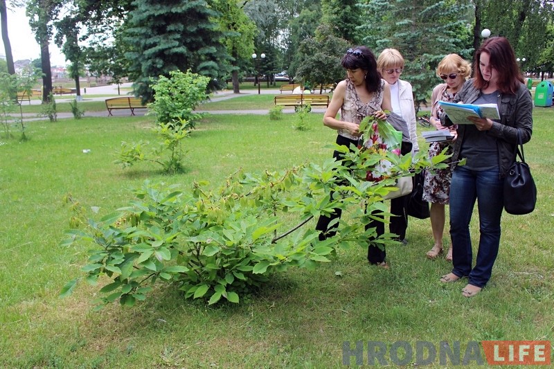 В ботанический сад в Гродно провели воду и начали перепись растений В ботанический сад в Гродно провели воду и начали перепись растений