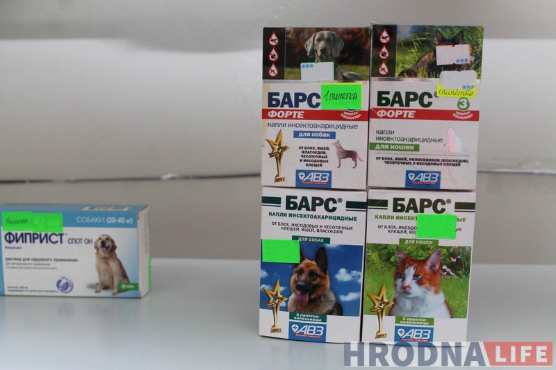 Полезные советы: как защитить домашних животных от клещей и что делать, если клещ уже укусил Полезные советы: как защитить домашних животных от клещей и что делать, если клещ уже укусил