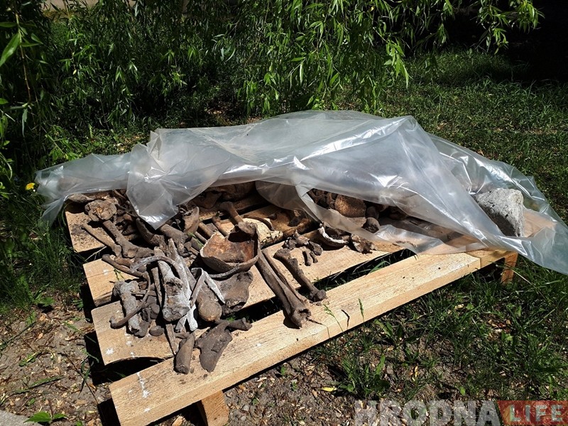 Во время земляных работ у Коложи попадаются захоронения людей Во время земляных работ у Коложи попадаются захоронения людей