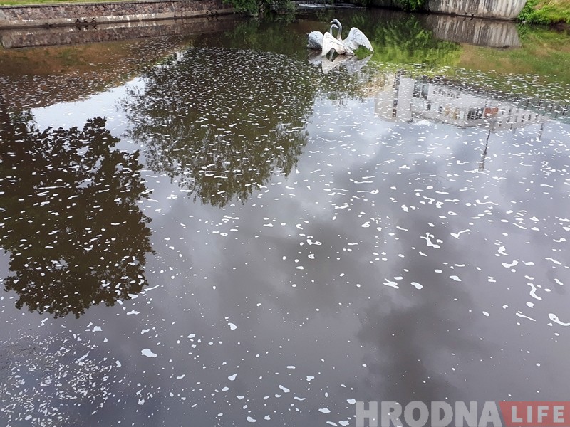 Фотофакт: Городничанка покрылась пеной и побелела Фотофакт: Городничанка покрылась пеной и побелела
