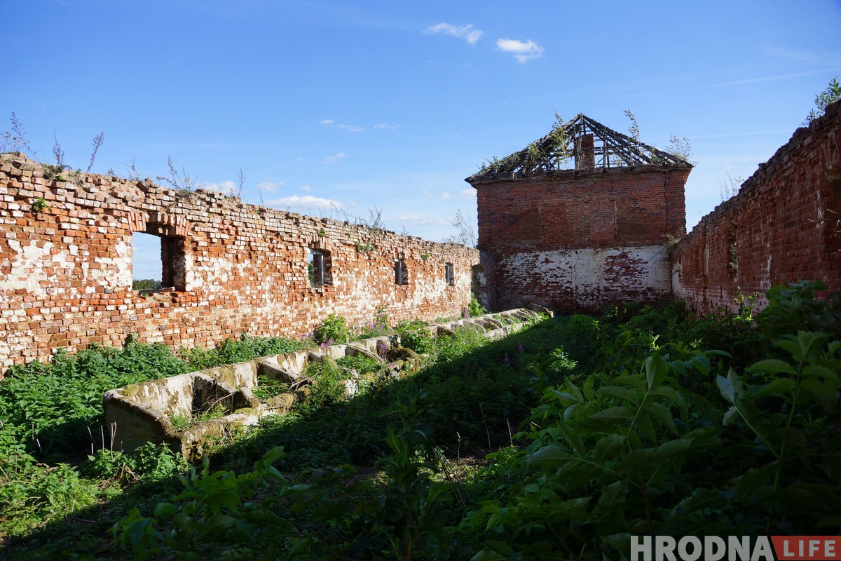 Воздушные замки и патриотические котики. Как активисты пытаются восстановить дворец Хрептовичей в Щорсах Воздушные замки и патриотические котики. Как активисты пытаются восстановить дворец Хрептовичей в Щорсах