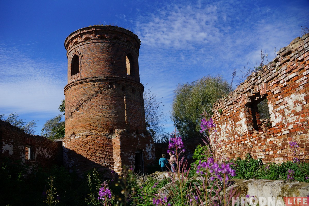 Воздушные замки и патриотические котики. Как активисты пытаются восстановить дворец Хрептовичей в Щорсах Воздушные замки и патриотические котики. Как активисты пытаются восстановить дворец Хрептовичей в Щорсах