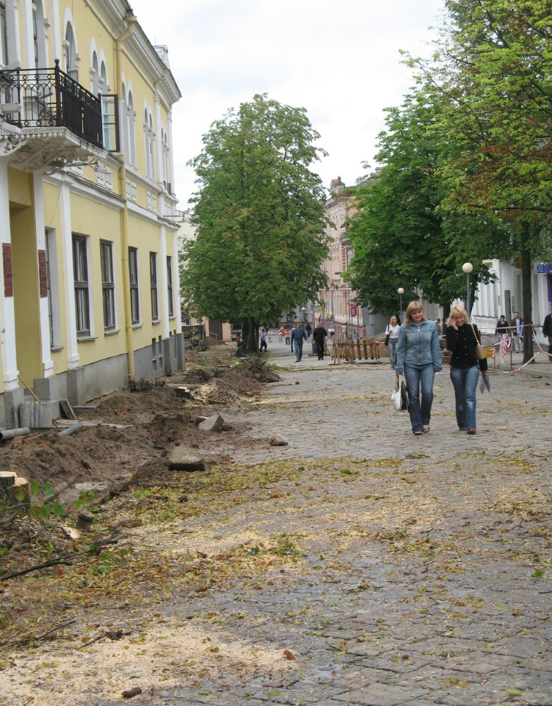 Летом 2007 года вся зелень на Советской улице была брутально выпилена