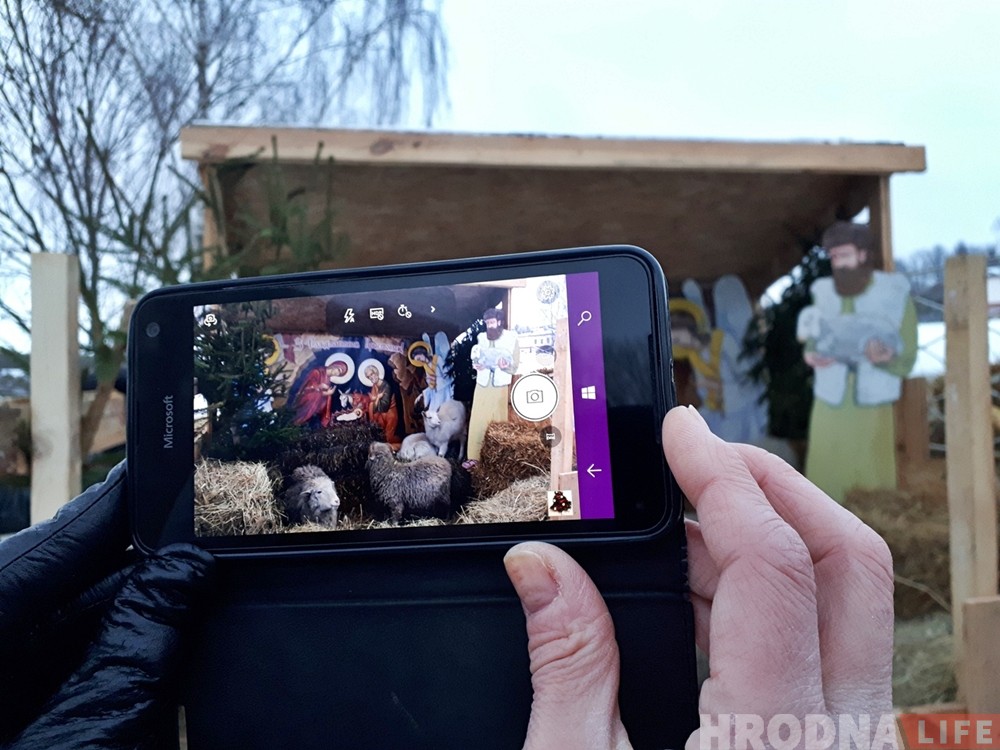 Возле Коложи украшением рождественского вертепа стали живые овечки и козлята Возле Коложи украшением рождественского вертепа стали живые овечки и козлята