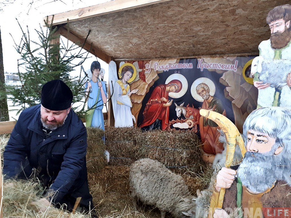 Возле Коложи украшением рождественского вертепа стали живые овечки и козлята Возле Коложи украшением рождественского вертепа стали живые овечки и козлята