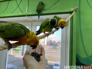 Общественное объединение “Экомониторинг” ликвидируют в Гродно