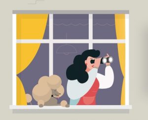 Яндекс.Район заработал в Гродно. Что это такое и зачем?