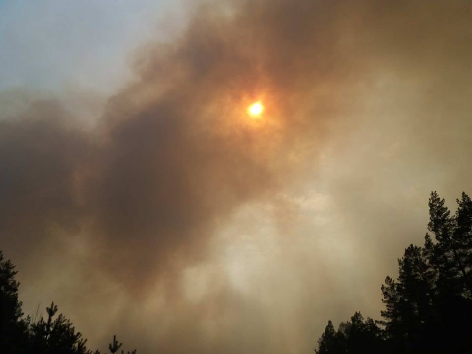 Куда уходит климат? Топ изменений в Беларуси и мире, которые уже произошли