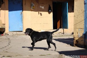 Парковка на Большой Троицкой, ресторан у филармонии, кафе на Телеграфной. Что построят в Гродно