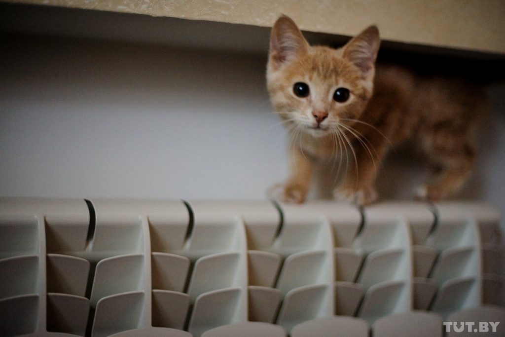 В Гродно начали отключать отопление, а на улице стало холоднее