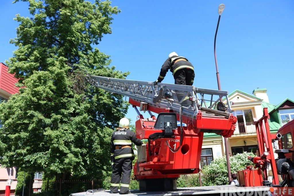 Смотрите, как в центре Гродно спасали Малыша (но он потом пропал)
