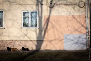 «ЖЭС-арт». Белорус снял фильм про стерильные улицы и закрашеные граффити