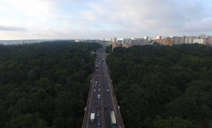 У Румлево изменился статус. Теперь тут нельзя выгуливать собак У Румлево изменился статус. Теперь тут нельзя выгуливать собак