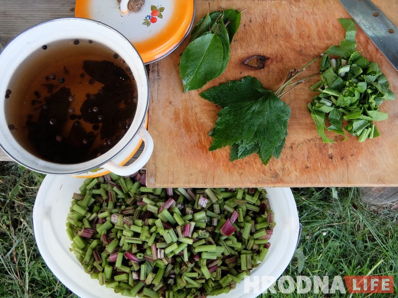 Трава у дома: гродненка 5 лет готовит сорняки и готова поделиться рецептами Трава у дома: гродненка 5 лет готовит сорняки и готова поделиться рецептами