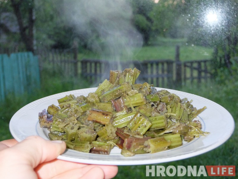 Трава у дома: гродненка 5 лет готовит сорняки и готова поделиться рецептами Трава у дома: гродненка 5 лет готовит сорняки и готова поделиться рецептами