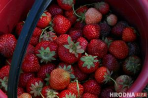 Суши-бар международной сети “Капибара” готовится к открытию в Гродно (обновлено) Суши-бар международной сети “Капибара” готовится к открытию в Гродно (обновлено)