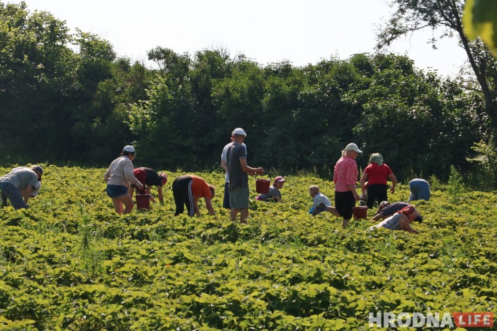 Польша отменила карантин для сезонных рабочих из Беларуси и Украины и иностранных студентов