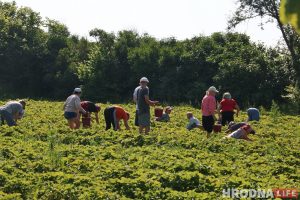 Начинал курьером, а потом открыл свое дело: как студент из Гродно стал собственником пиццерии в Белостоке