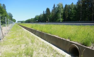 На трассе М6 появился переход для лягушек