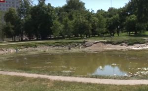 В Гродно засыхают пруды и сохнут деревья. ЖКХ: закачка воды нецелесообразна В Гродно засыхают пруды и сохнут деревья. ЖКХ: закачка воды нецелесообразна