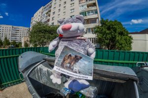 В Гродно выкидывают на мусорки плюшевые игрушки, чтобы поддержать бездомных животных