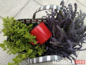 Ад по-гродненски. Как деревья могли бы спасти нас от жары, но их не хватает