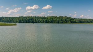 "Кока-Кола" и студенты из пяти стран будут спасать озеро Белое