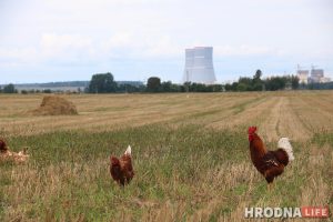 белаэс-2019 (6)