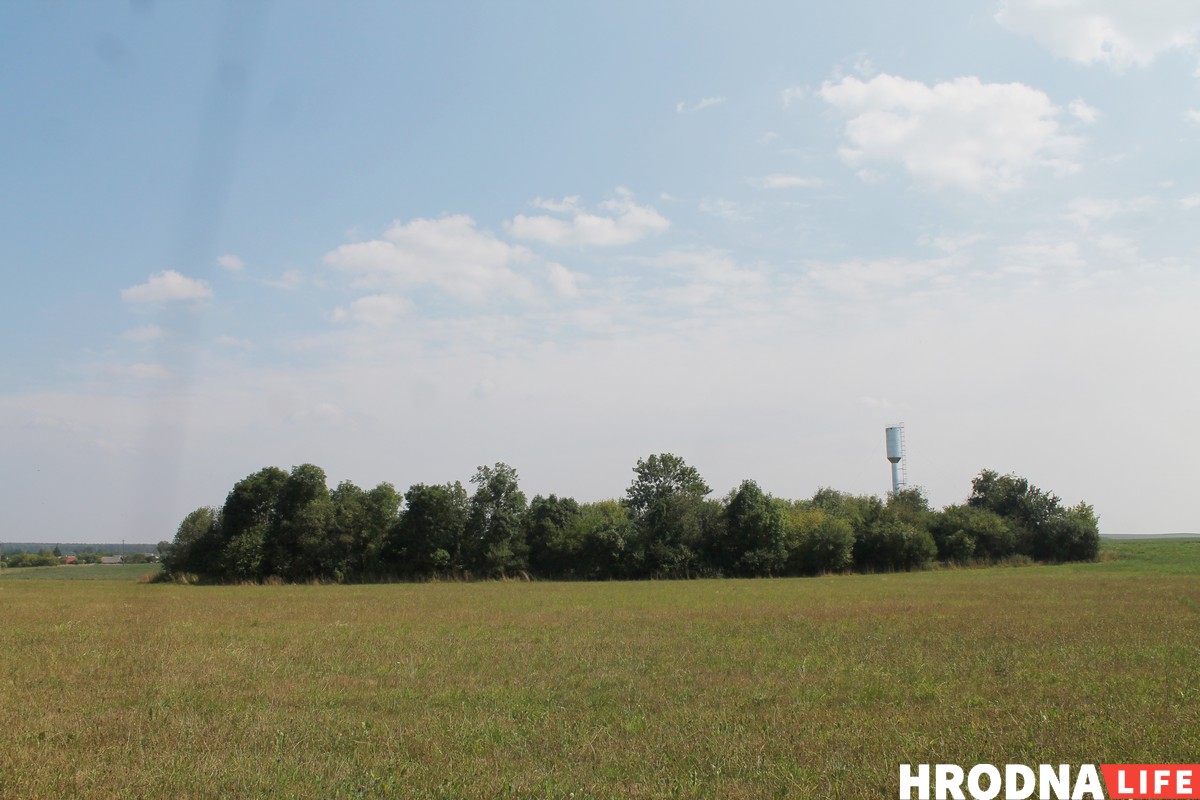 "Вернуть местечку корни". Как волонтеры восстанавливают старое иудейское и лютеранское кладбище "Вернуть местечку корни". Как волонтеры восстанавливают старое иудейское и лютеранское кладбище