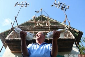 Гродненец 50 лет разводит голубей: «Раньше было модно, сейчас - занятие для души»