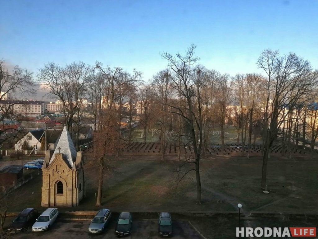 На военном кладбище хотят вырубить деревья: жителей Белуша зовут на обсуждение