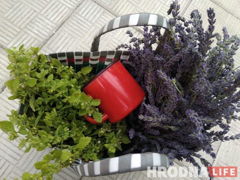 Нож, тарелка и вилка из тростника. Почему запрет на пластиковую посуду в Беларуси не спасет природу