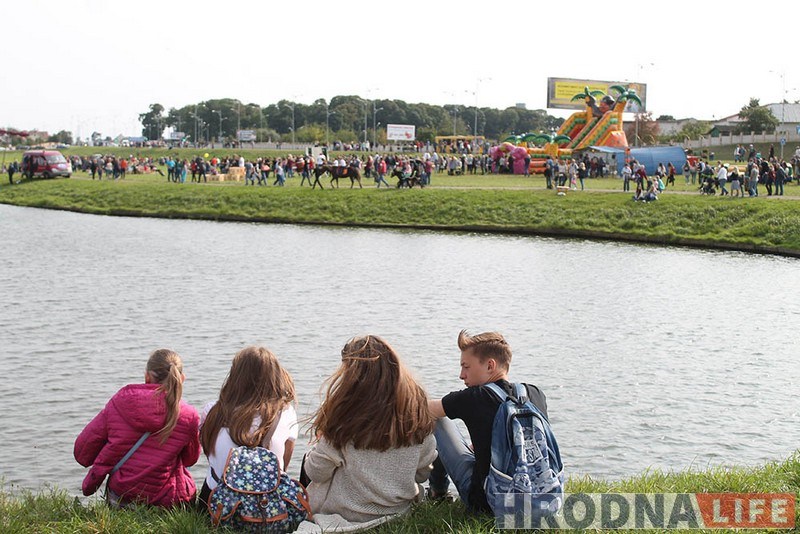 Фестиваль "Зелёный Гран-При" пройдет онлайн. Какие мероприятия переносят?