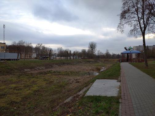 На Репина спасают пруд, который помнит Понятовского На Репина спасают пруд, который помнит Понятовского