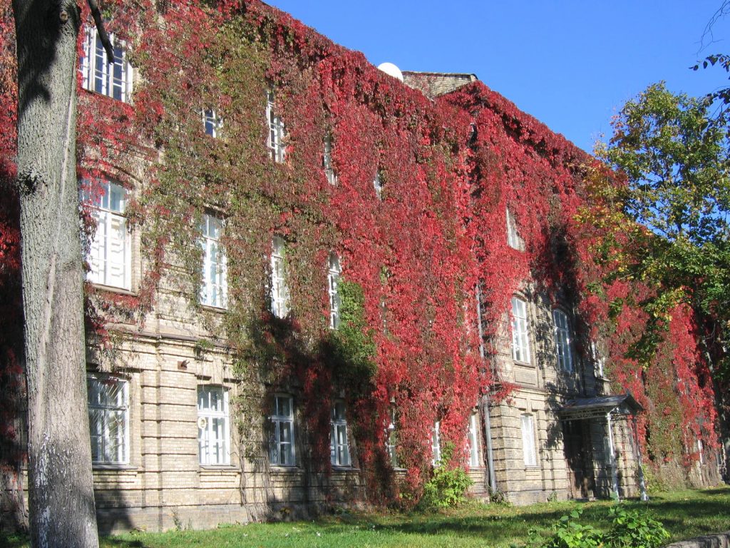 Гродзенскі купалаўскі ўніверсітэт увайшоў у беларускую пяцёрку лепшых у сусветным рэйтынгу