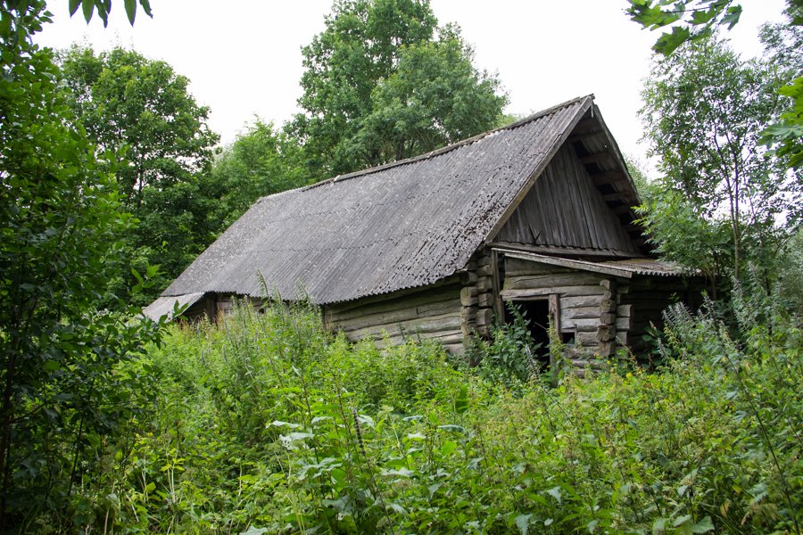 «Дарогі няма, крама зачынілася, але ў горад не паеду». Як жывуць апошнія жыхары выміраючых вёсак пад Гродна
