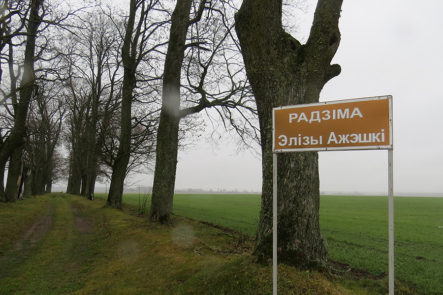 Как может измениться родовое гнездо Элизы Ожешко в Мильковщине Фота: sb.by