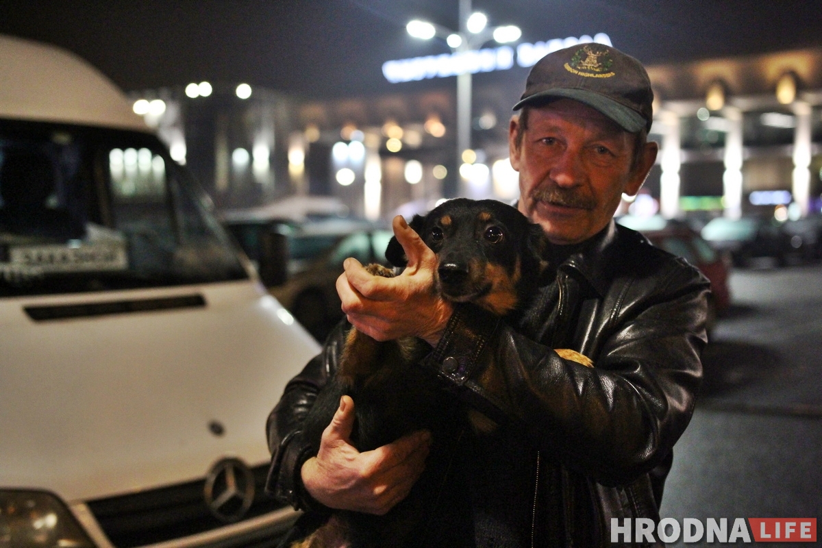 Здымае стрэс і грэе сядзенне: як сабака Мульцік возіць людзей з Гродна ў Баранавічы