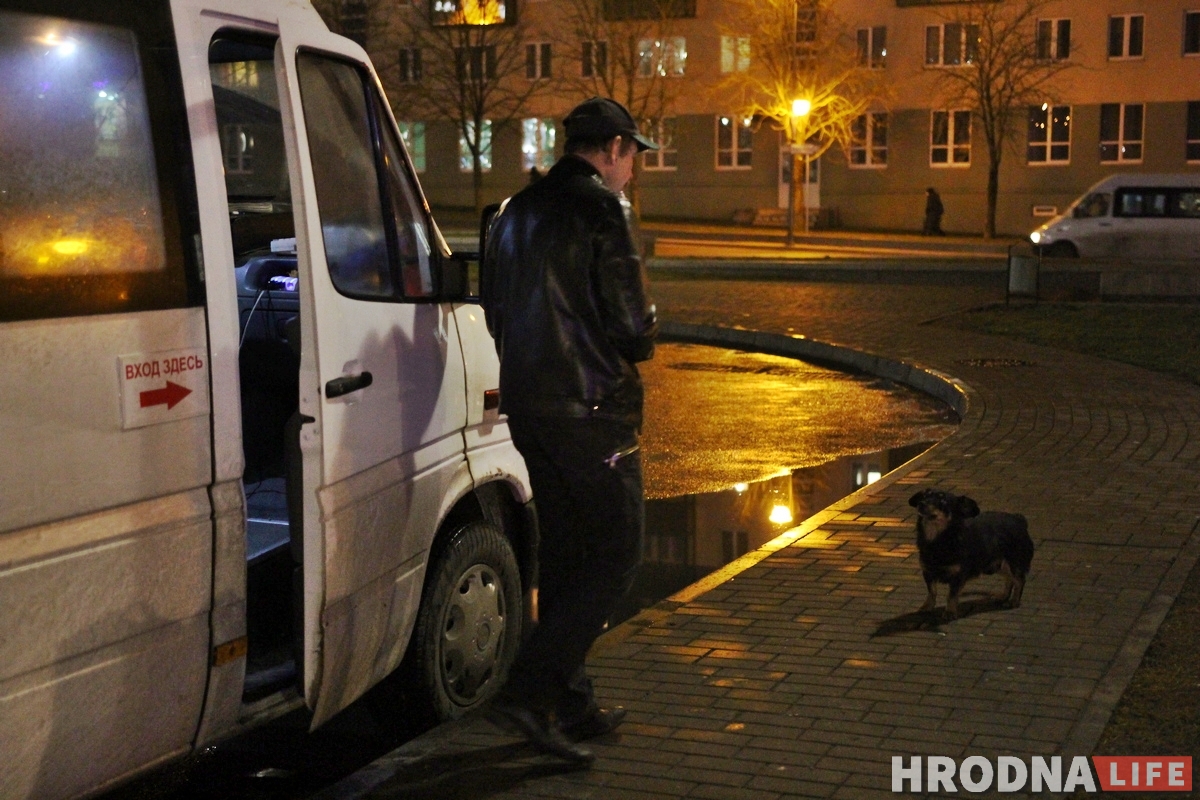 Здымае стрэс і грэе сядзенне: як сабака Мульцік возіць людзей з Гродна ў Баранавічы