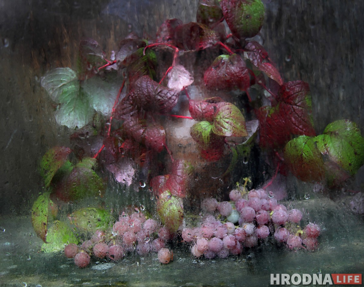 “Вылізанай гламурнасці тут няма". Нацюрморты з лецішча ад Наталлі Дораш дапамогуць справіцца з зімовай дэпрэсіяй